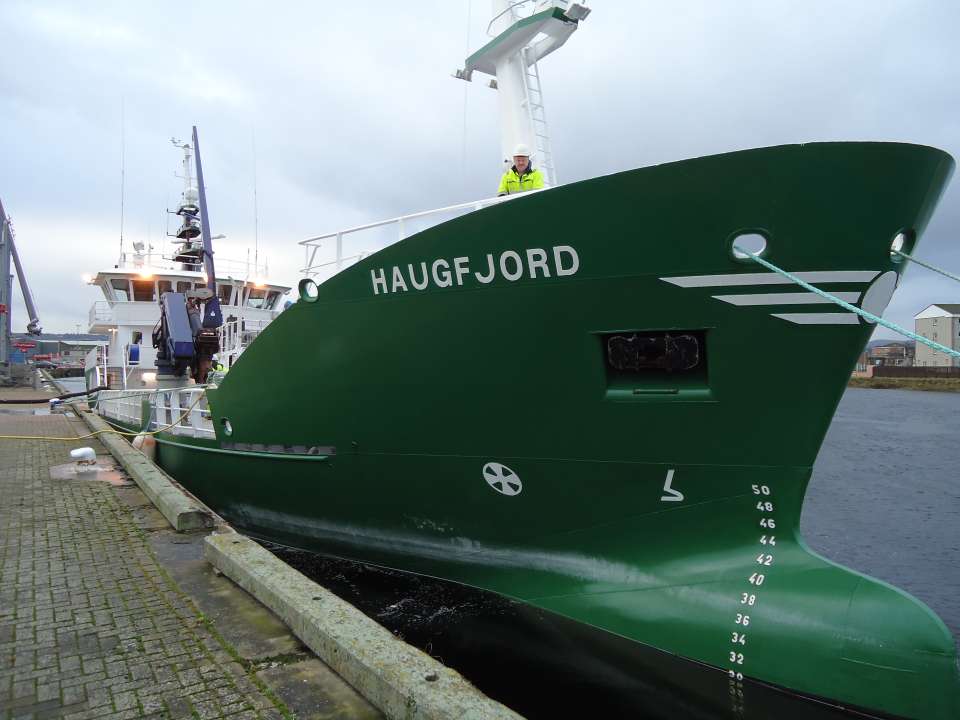 Haugfjord 2